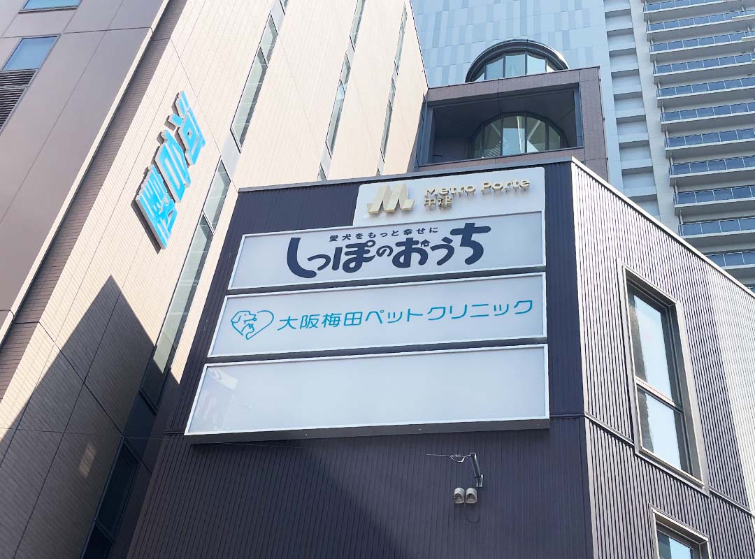 大阪中津のペットクリニックの電飾看板