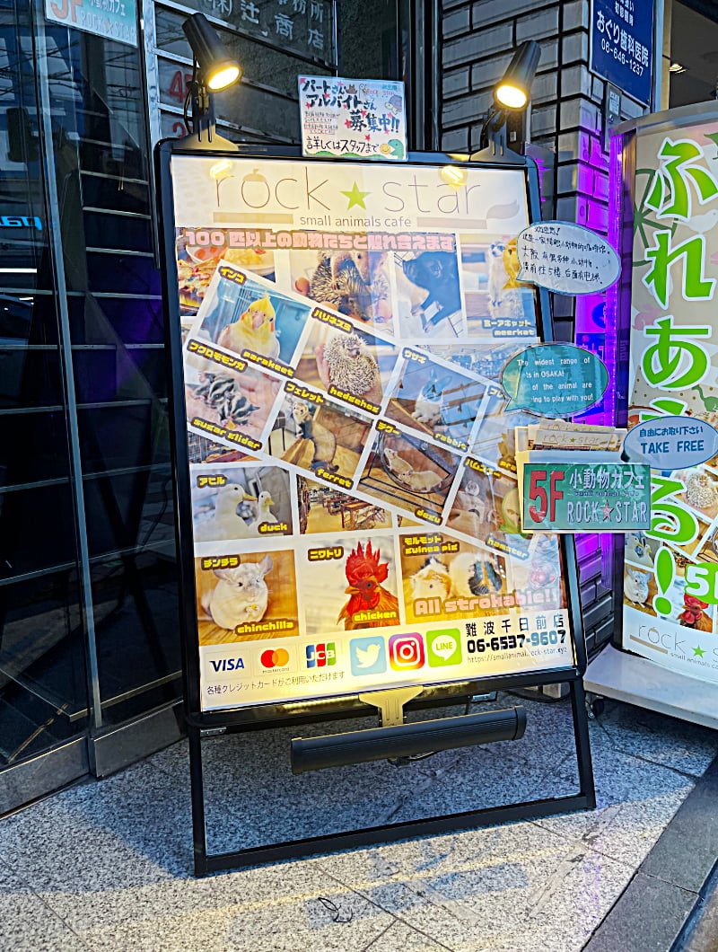 大阪難波のペットカフェのスタンド看板